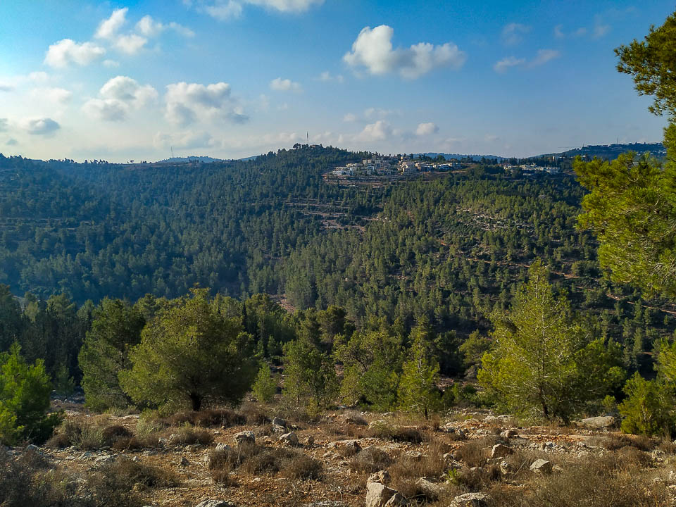 הנוף בתצפית נחל יתלה בהרי ירושלים