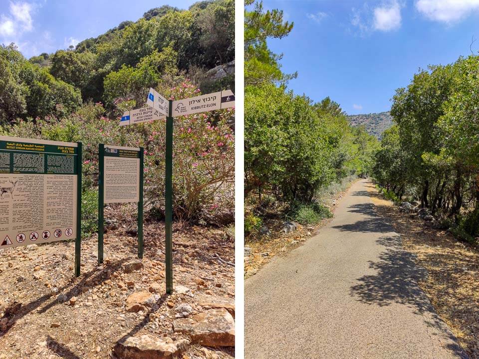 הדרך הסלולה ותחילת המסלול לעינות כרכרה