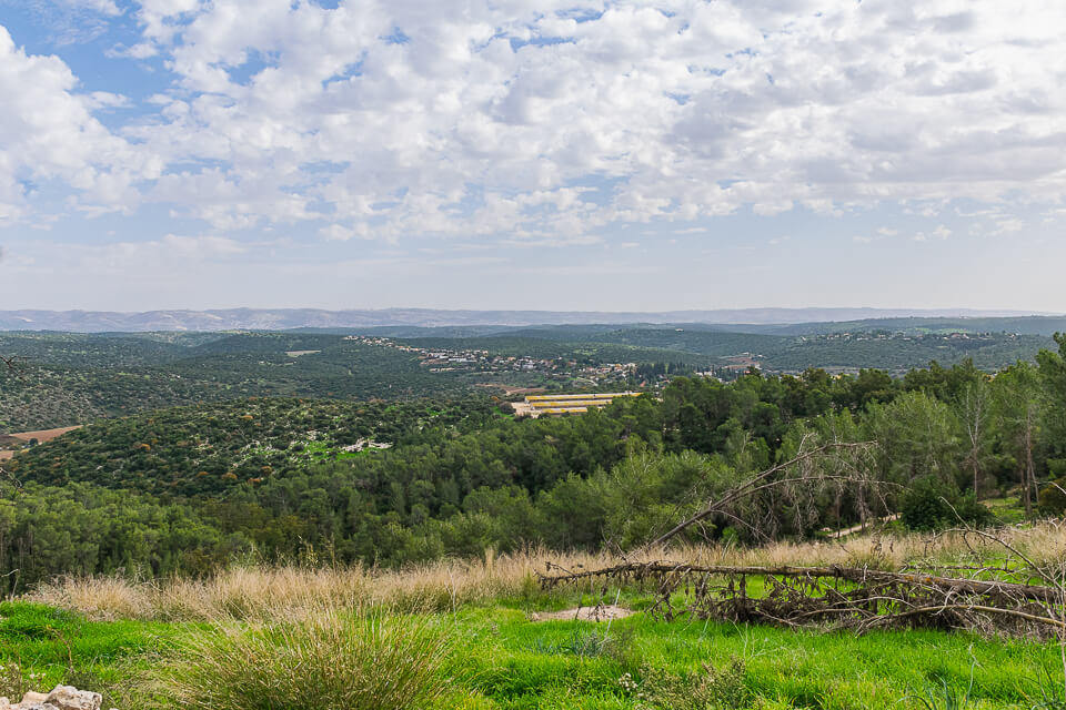 נוף מחורבת שקלון בפארק בריטניה