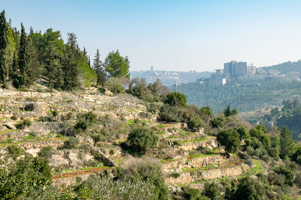 נוף לטרסות החקלאיות