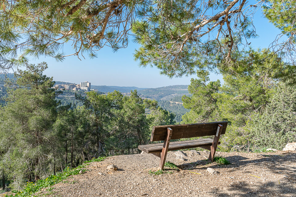 תצפית ביער ירושלים