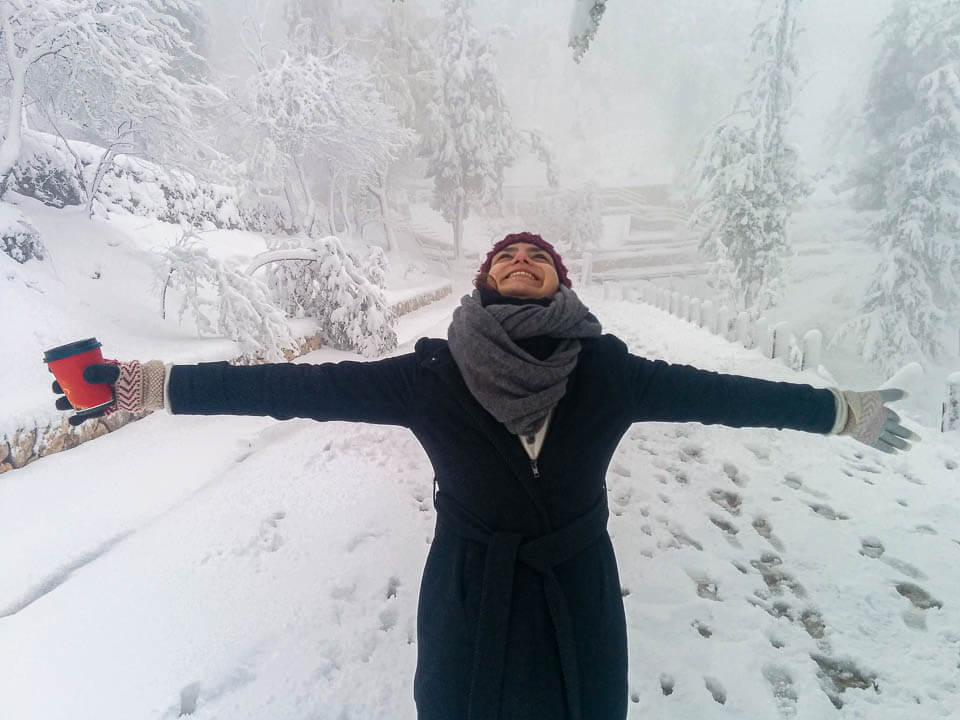 שלג ביער ירושלים