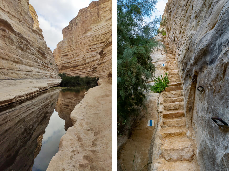 מסלול הליכה בגן לאומי עין עבדת