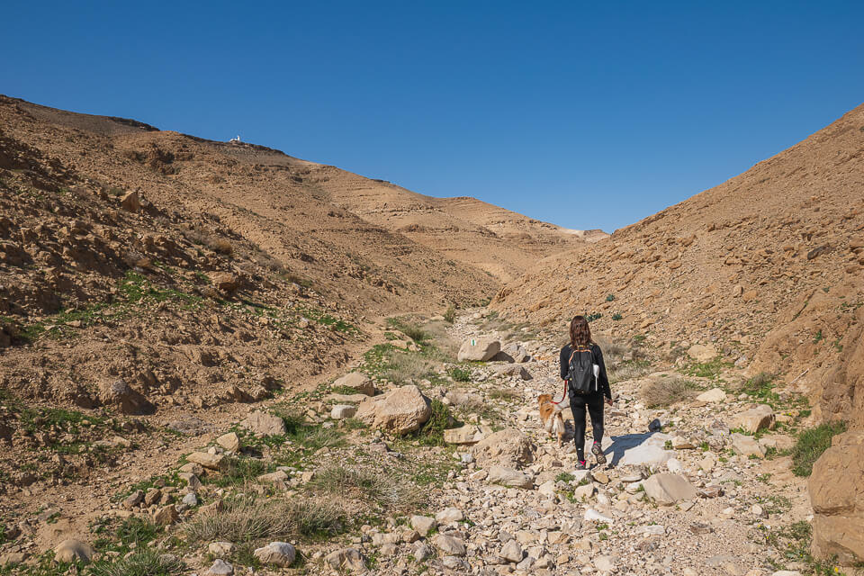 שביל המסלול מסומן בסימון ירוק