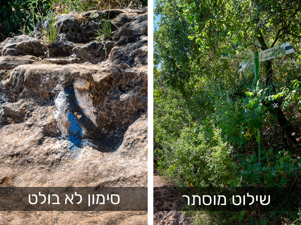 סימון שבילים בקרן ברתות ועין טמיר