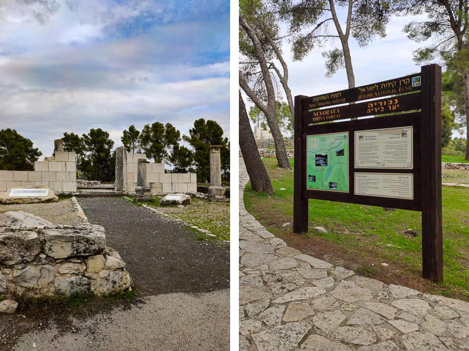 בית הכנסת נבוריה ביער ביריה