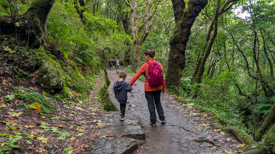 מסלול טיול לילדים Levada dos Balcões